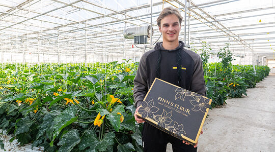 Embalaje premium para flores de calabacín que llegan a todo el mundo