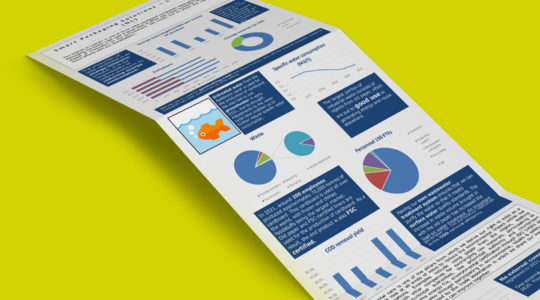 Environmental Monitor 2021: a sustainable year in figures